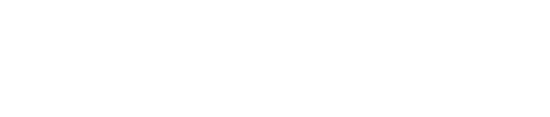 JSD-Duisburg-Logo-Typo-weiss JobSpeeddating-Duisburg